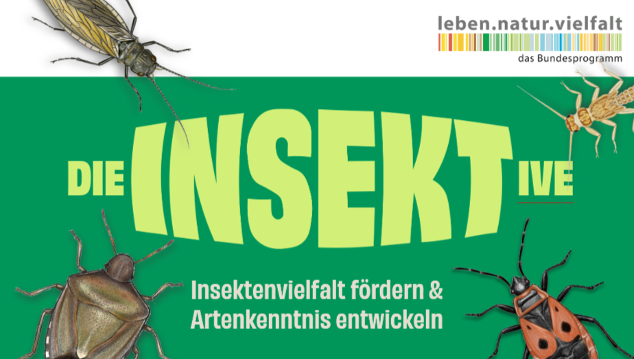 Exkursion ins Müritzeum am 29. Juli