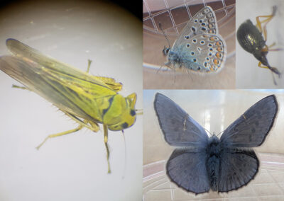 © Teilnehmende der Fortbildung