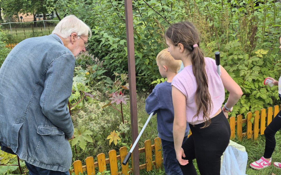 Mit Kescher und Mikroskop: MikroMINT auf Entdeckungstour am ASB-Kinderbauernhof